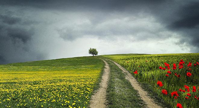 举办“科技下乡 人才助企”主题活动